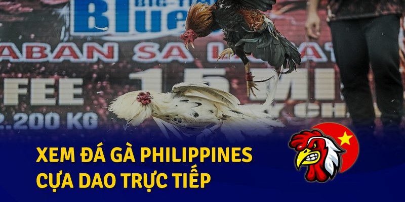 Khái niệm đá gà Philippines