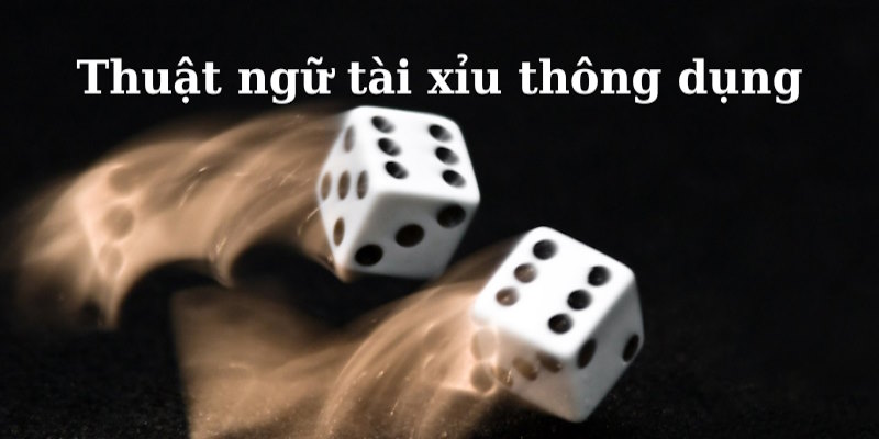 Chơi tài xỉu online phải nắm thuật ngữ